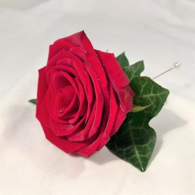 Red Rose Button Hole