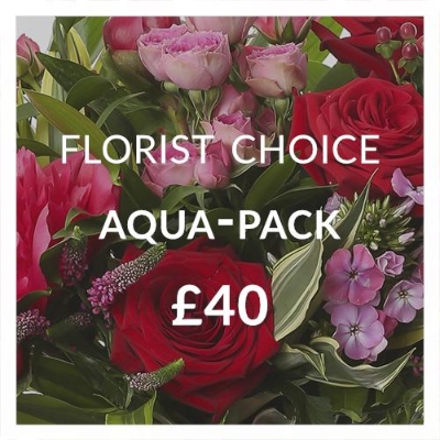 Florist Choice Aqua pack £40