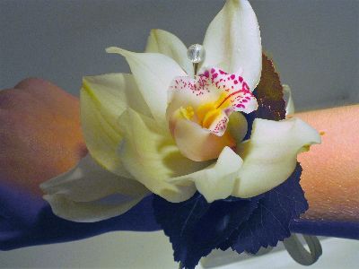 Cymbidium orchid wrist Corsage