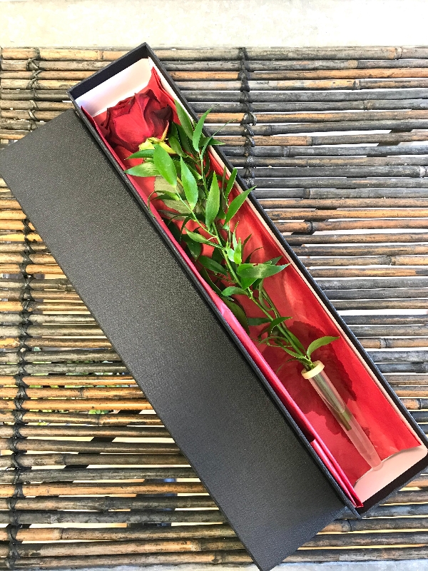 Single Red Rose in Deluxe Gift Box buy online or call 0191 384 2160