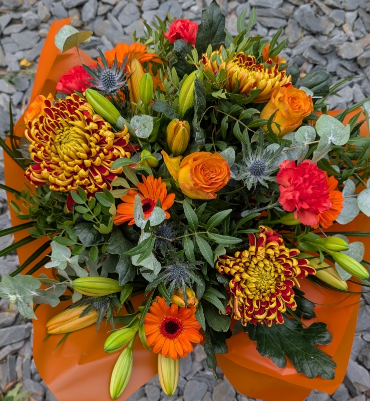 Autumnal Aqua Box