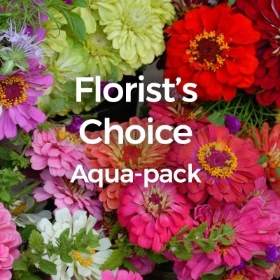 Florist Choice Aqua Pack