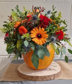 Pumpkin Arrangement