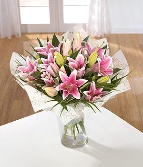 Lily