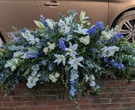 White and Blue top spray